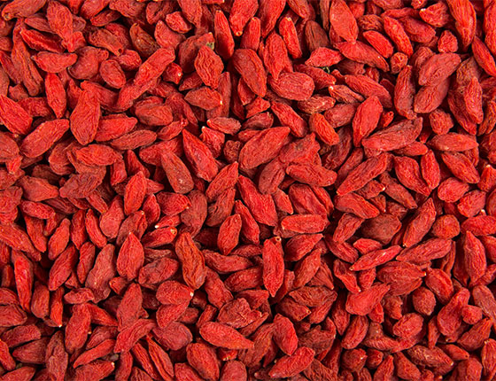 organic gojiberry 2