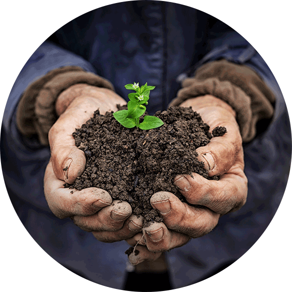 Organic Raw materials