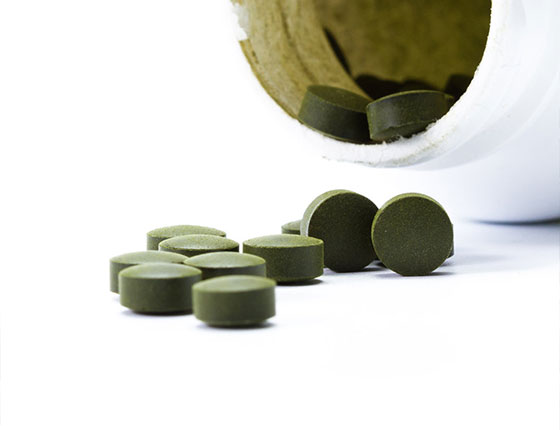 bulk chlorella powder wholesale
