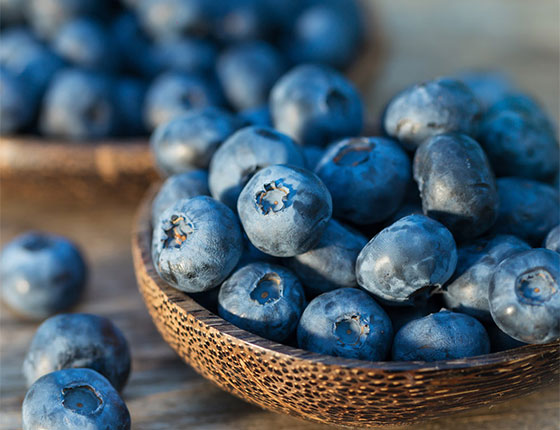 blueberry juice powder