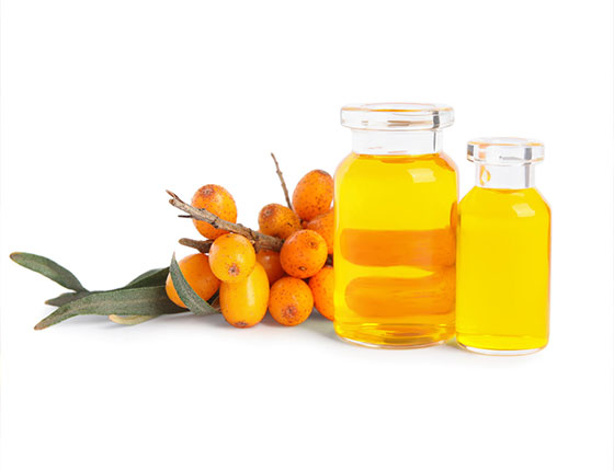 organic buckthorn oil
