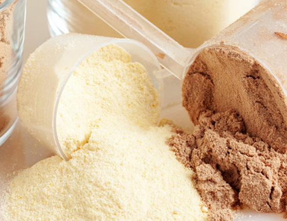 organic soy protein powder