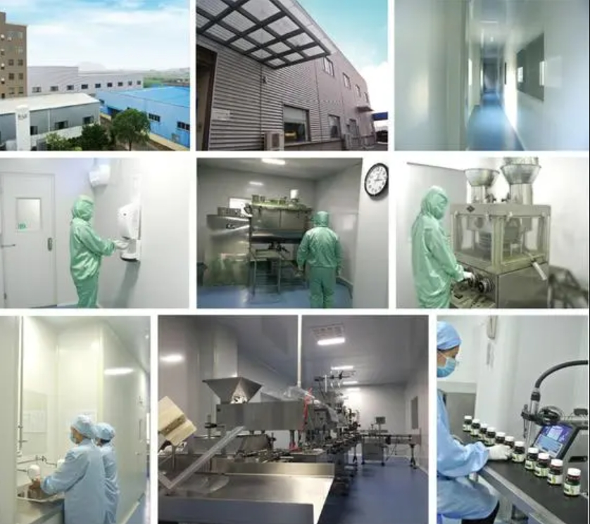 chlorella-powder-factory.png