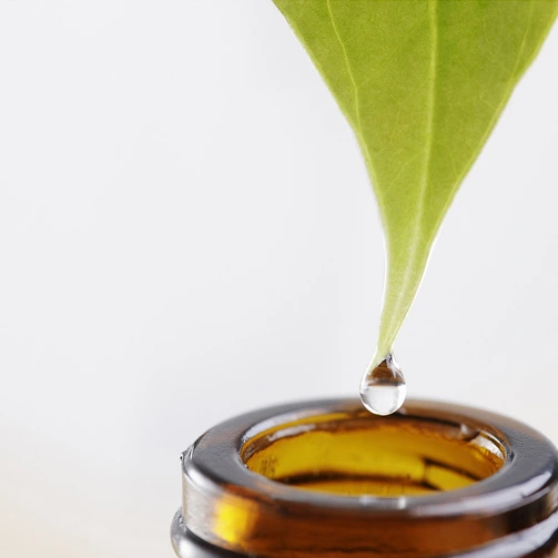 Organic Essential Oil